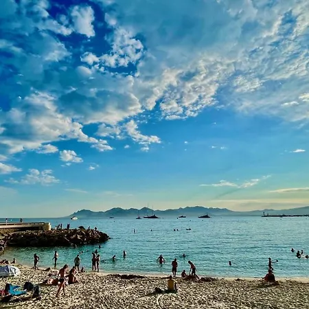 Ideal For Congresses Or Holidays Cannes