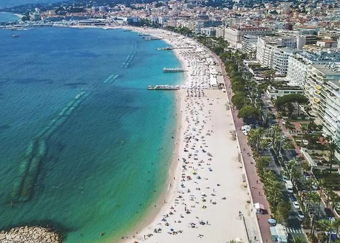 Ideal For Congresses Or Holidays Apartment Cannes